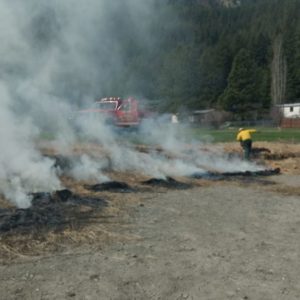 Annual Cleanup Day and BBQ