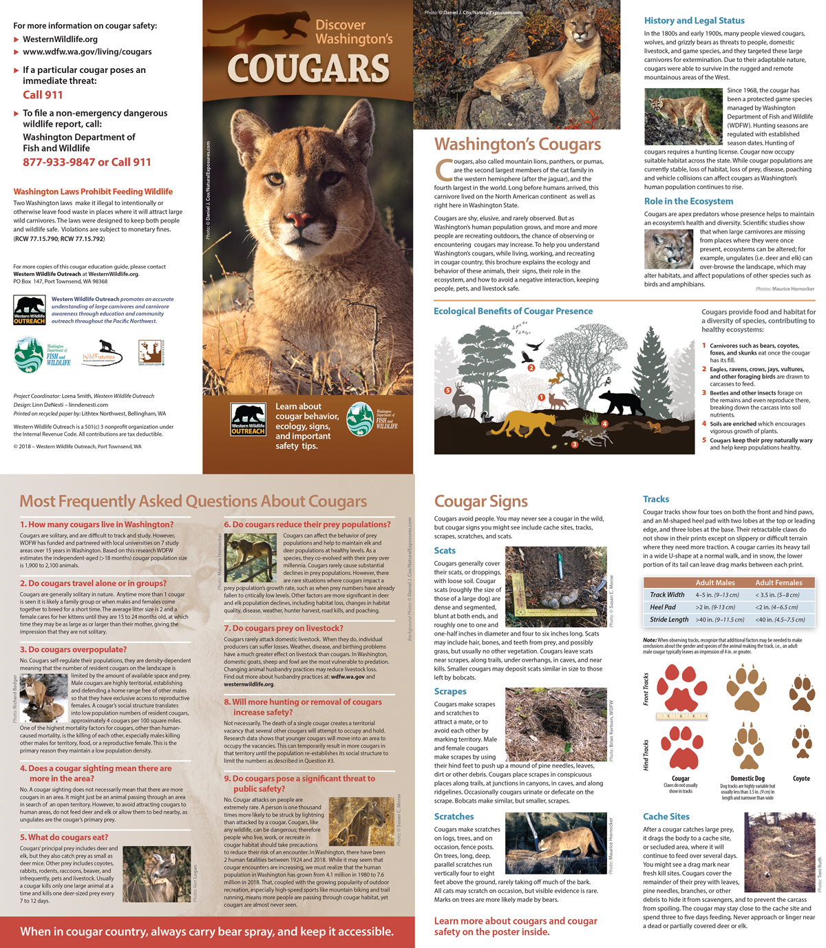 2018-Cougar-Brochure-Side-1